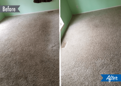 carpet cleaning before and after detroit