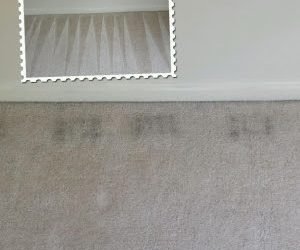 Help We Have Dark Lines Around Our Carpet Edges!