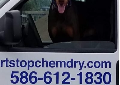 dog in chem-dry van