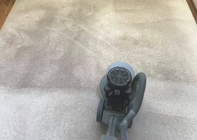 carpet cleaning in action